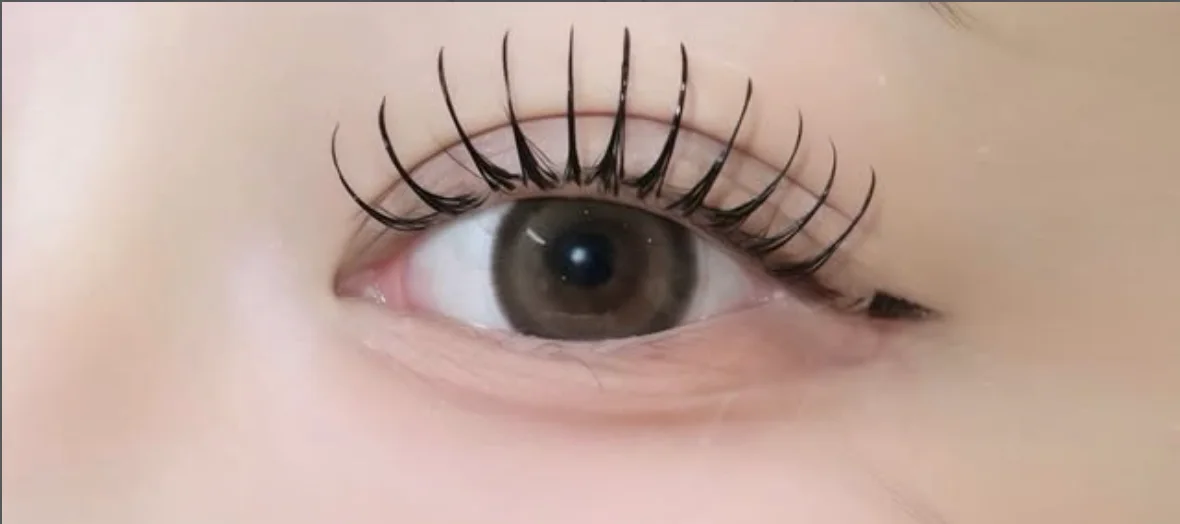 upward lash の仕上がり実例